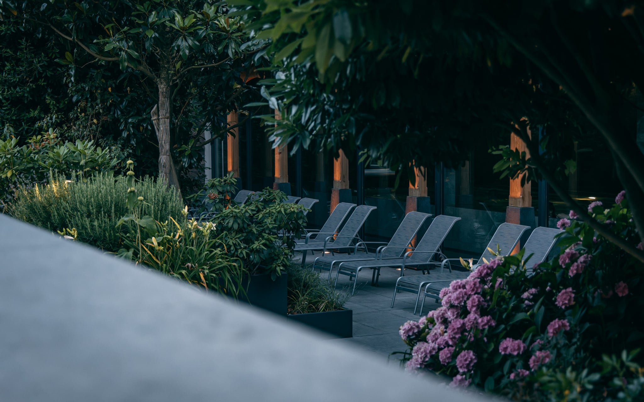 Transats dans un jardin luxuriant d'hôtel - Hôtel Spa Alsace