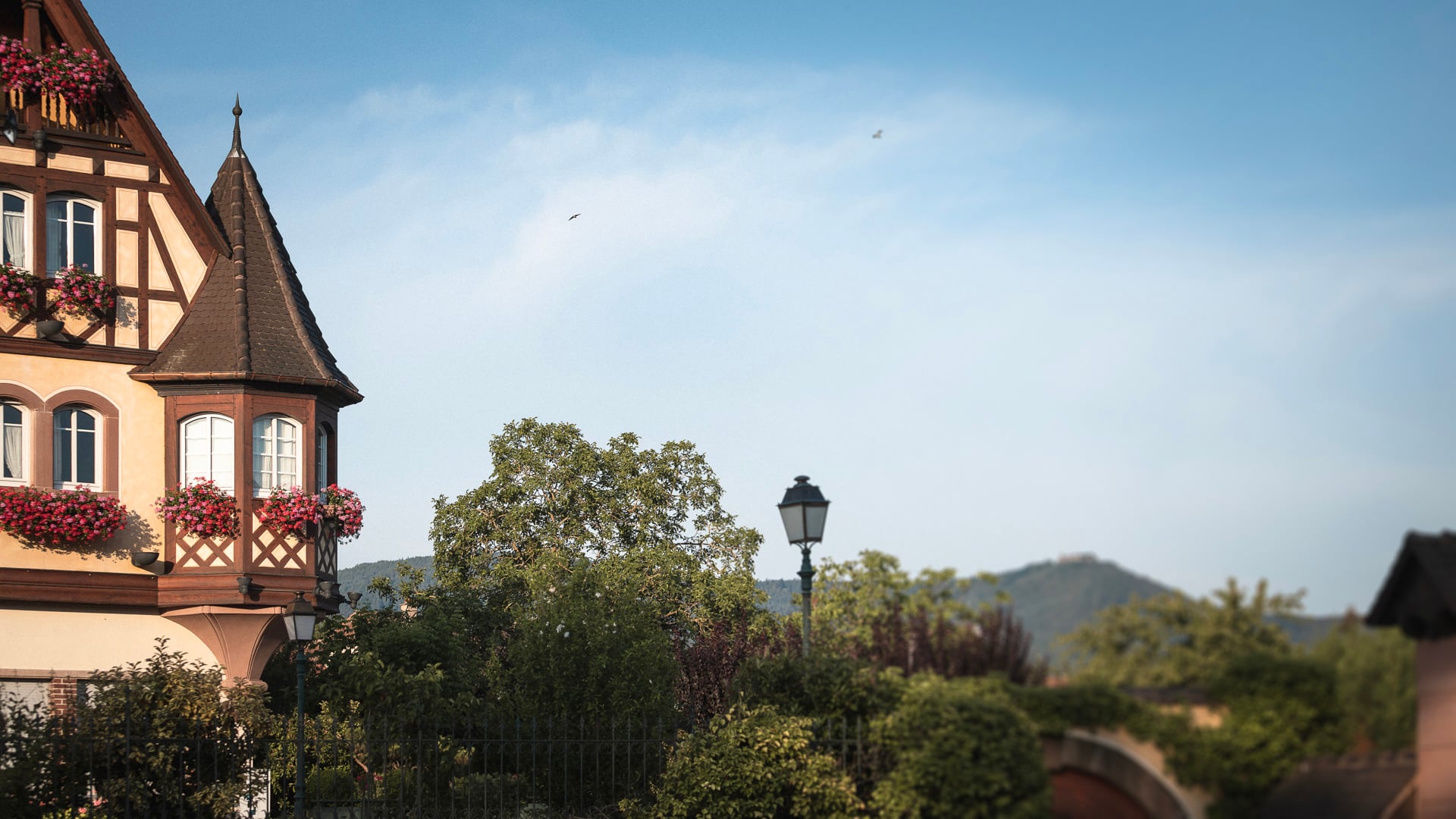 Maison à colombages, fleurs et paysage champêtre.