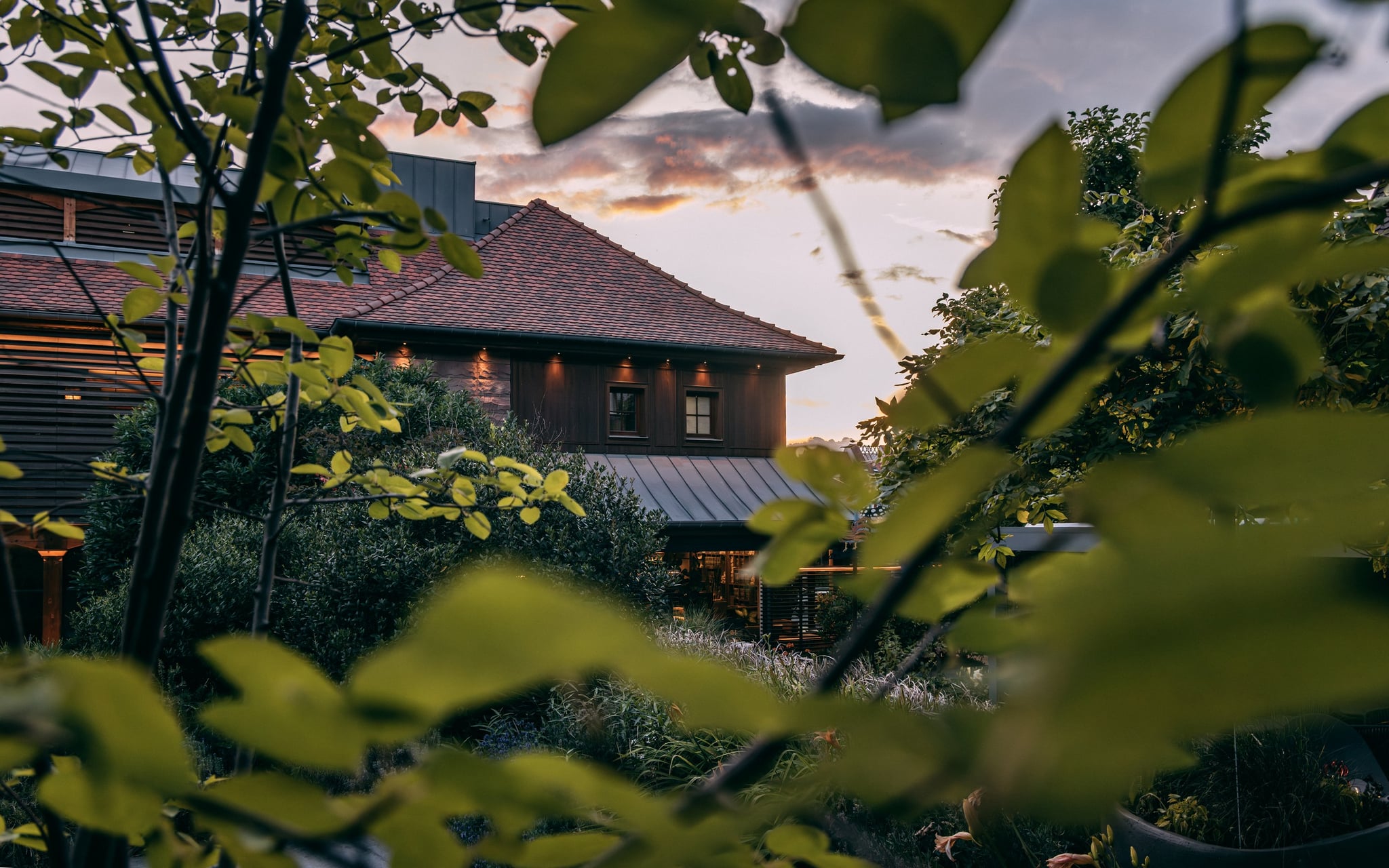 le parc juin 2025 jpeg hd 028