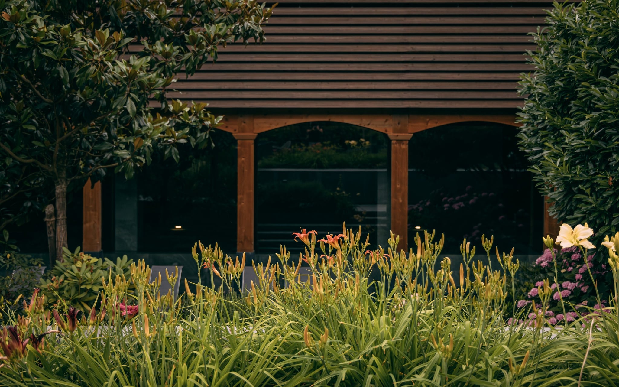 le parc juin 2025 jpeg hd 079