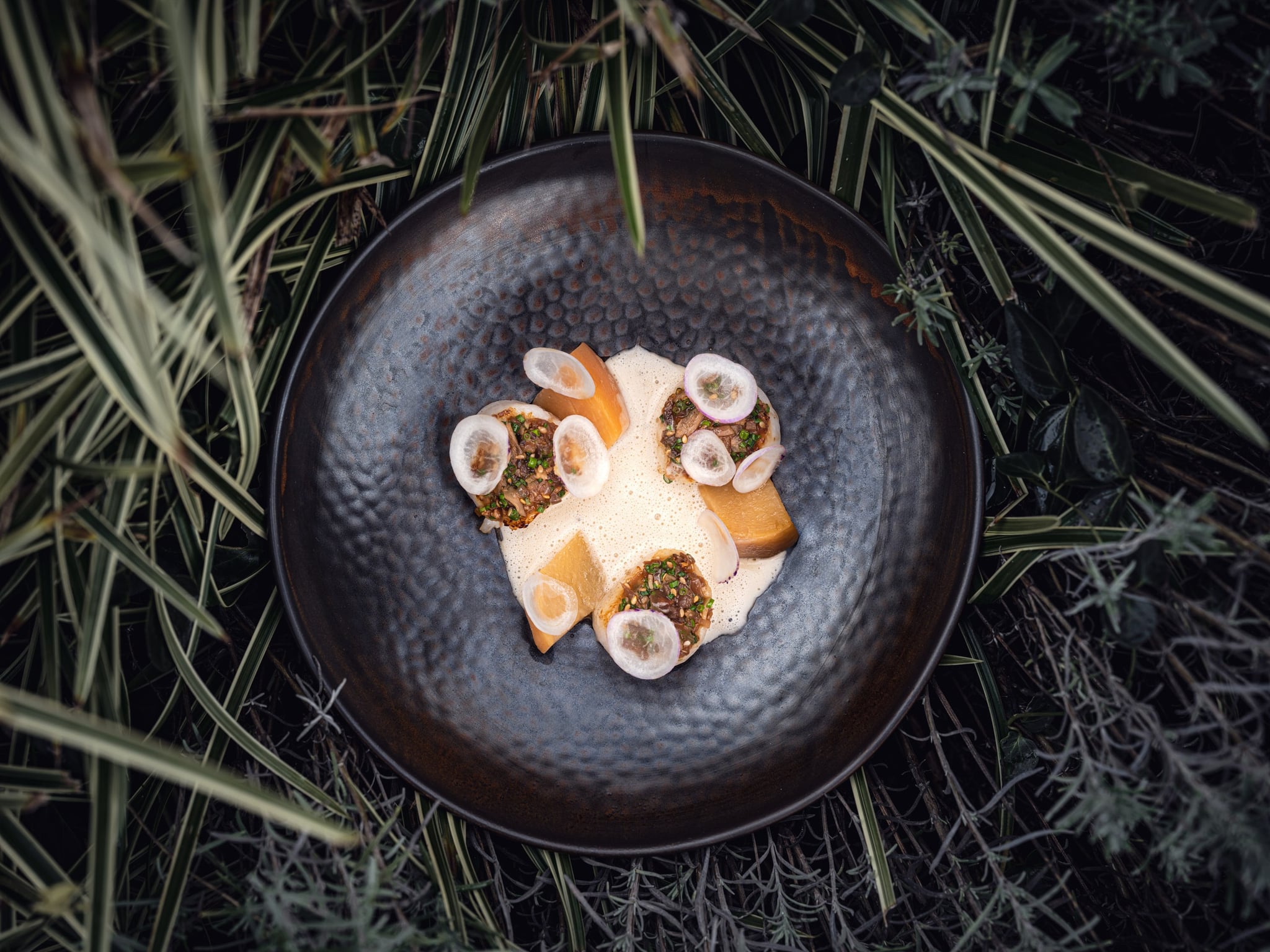 Plat raffiné dans assiette brune, herbes autour.