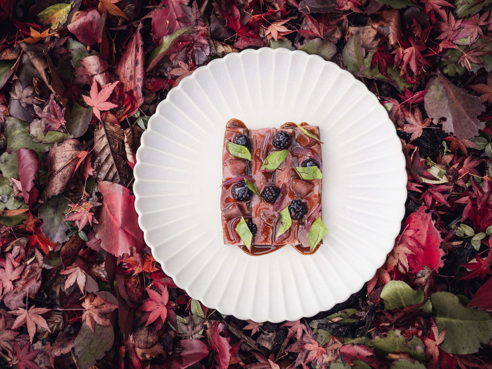 restaurant signature plat (6) maxime