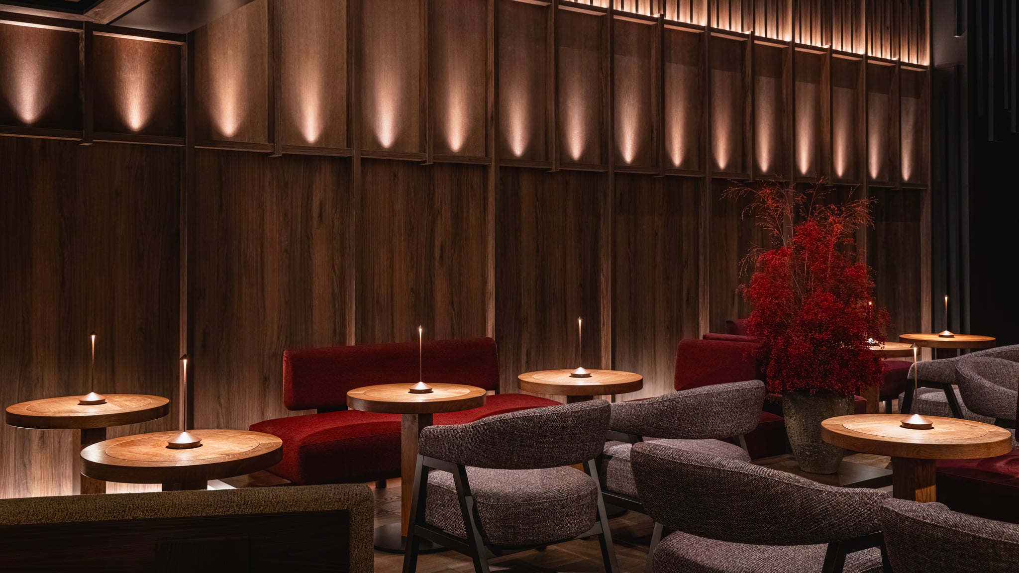 yona communs jpeg s recadrée 016