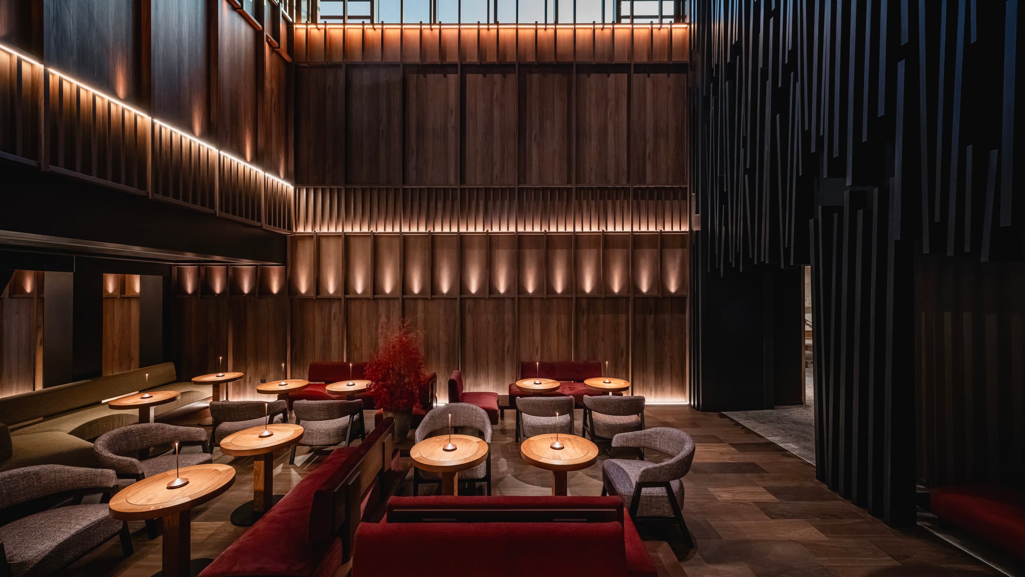 yona communs jpeg s recadrée 017