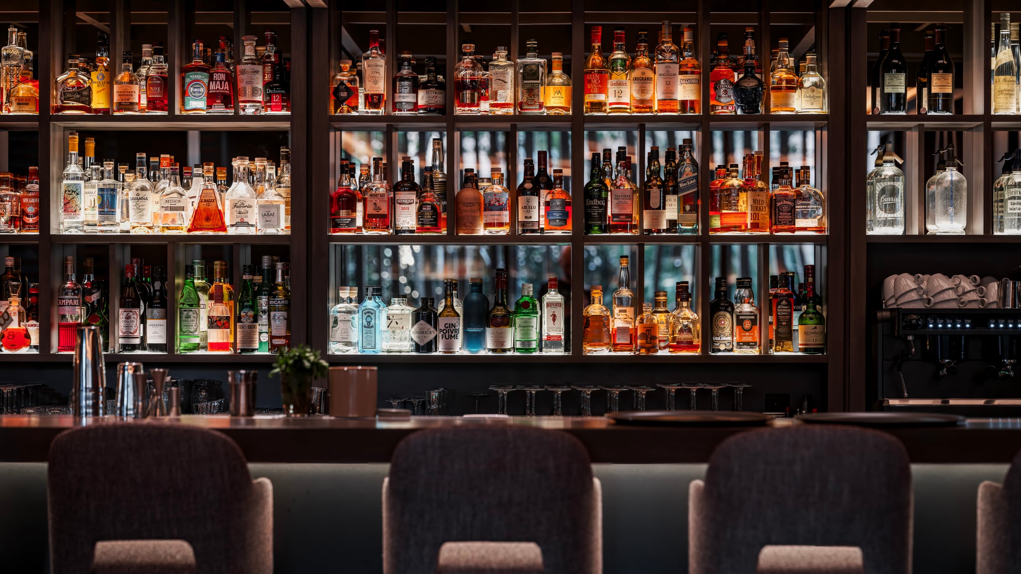 yona communs jpeg s recadrée 020