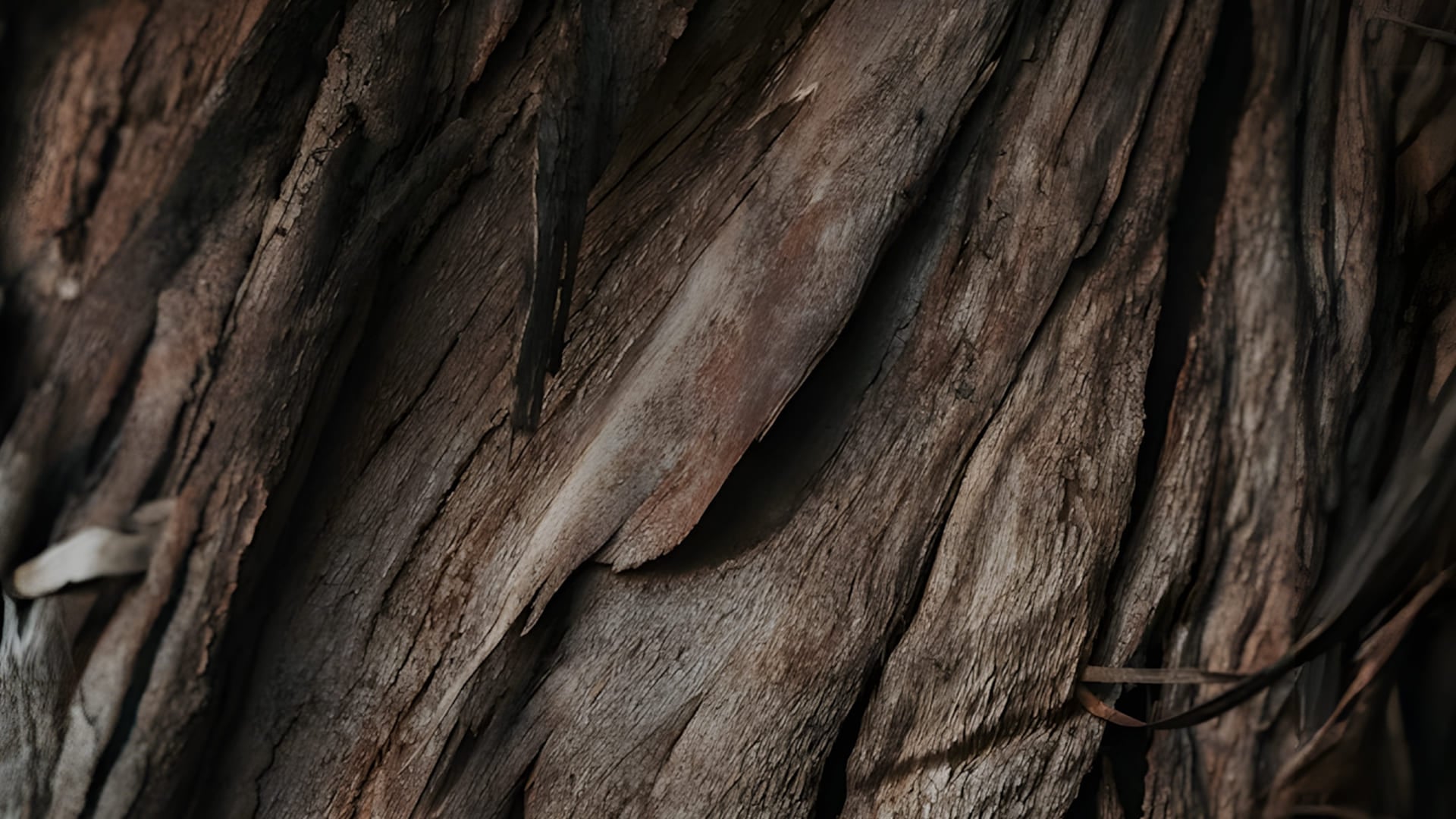 chambres introduction